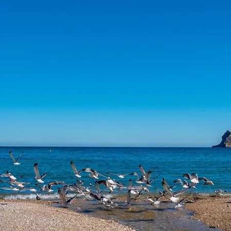 Vacanceselect Mobil Homes - Camping Almafra L'Alfas del Pi